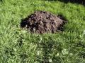 a molehill