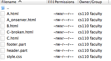screenshot of how the file permissions look like