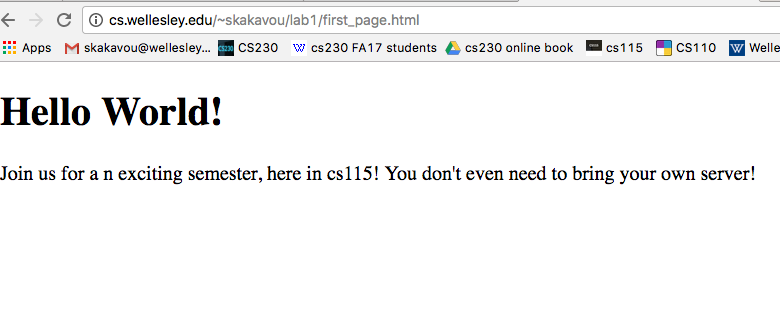 Loading the lab1 file in the browser from the server